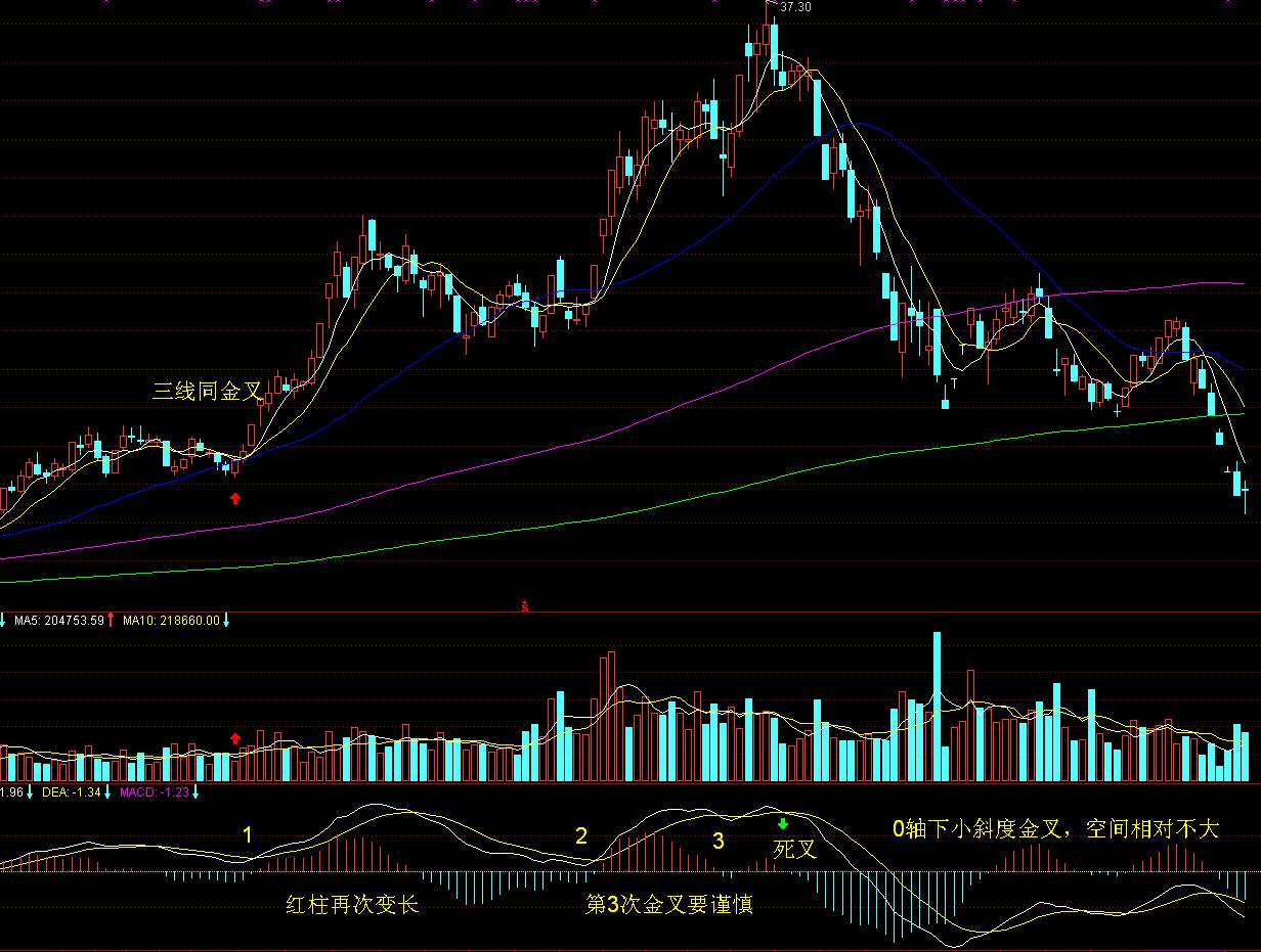 兴业银行合肥分行：暖心服务擦亮金融为民底色