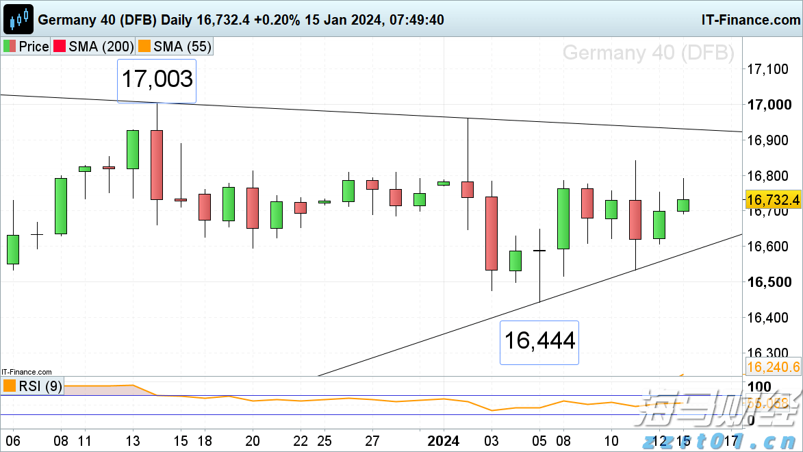梅州市第十届运动会武术散打比赛落幕！来看排名榜单→