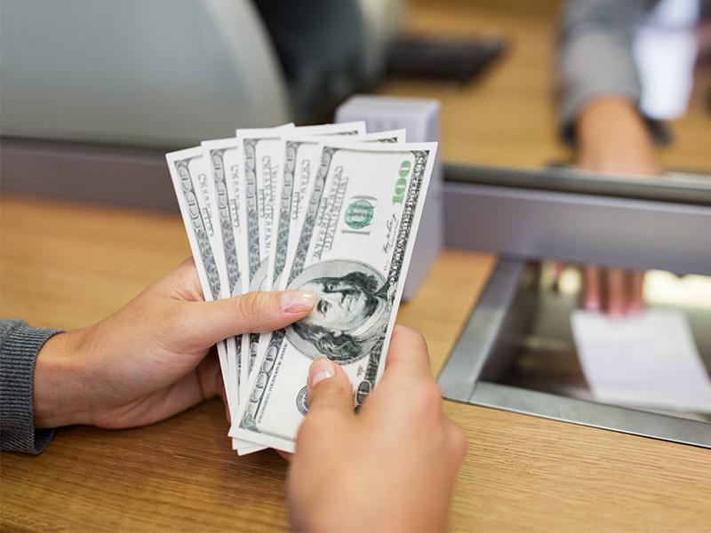 低成本让家中“绿美”！珠海推出《家庭微型园艺指导手册》