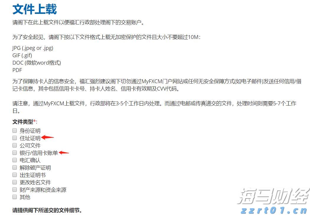 深耕创作沃土 讲好徐闻故事