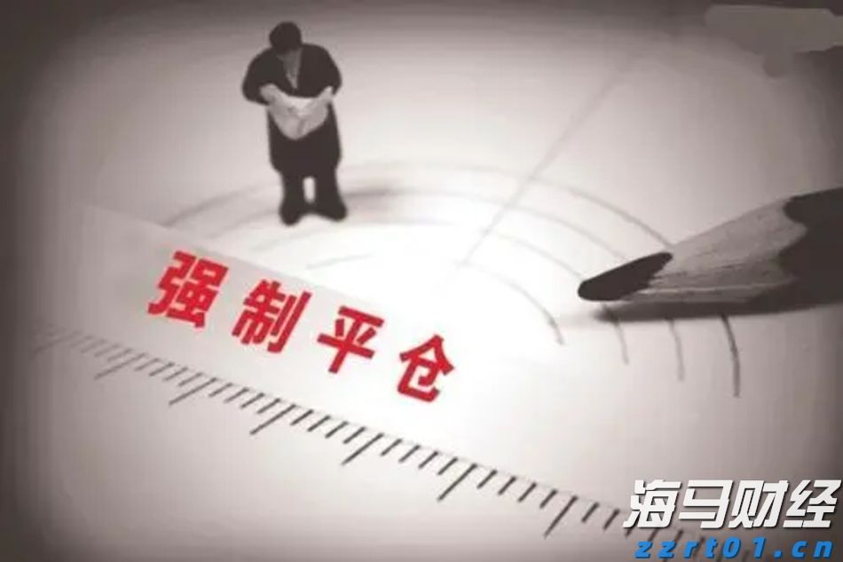 市政务服务中心：党建引领赋能环评审批提速增效