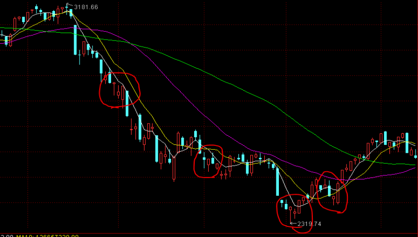 台风“杨柳”凌晨登陆福建漳浦，珠海有暴雨局部大暴雨